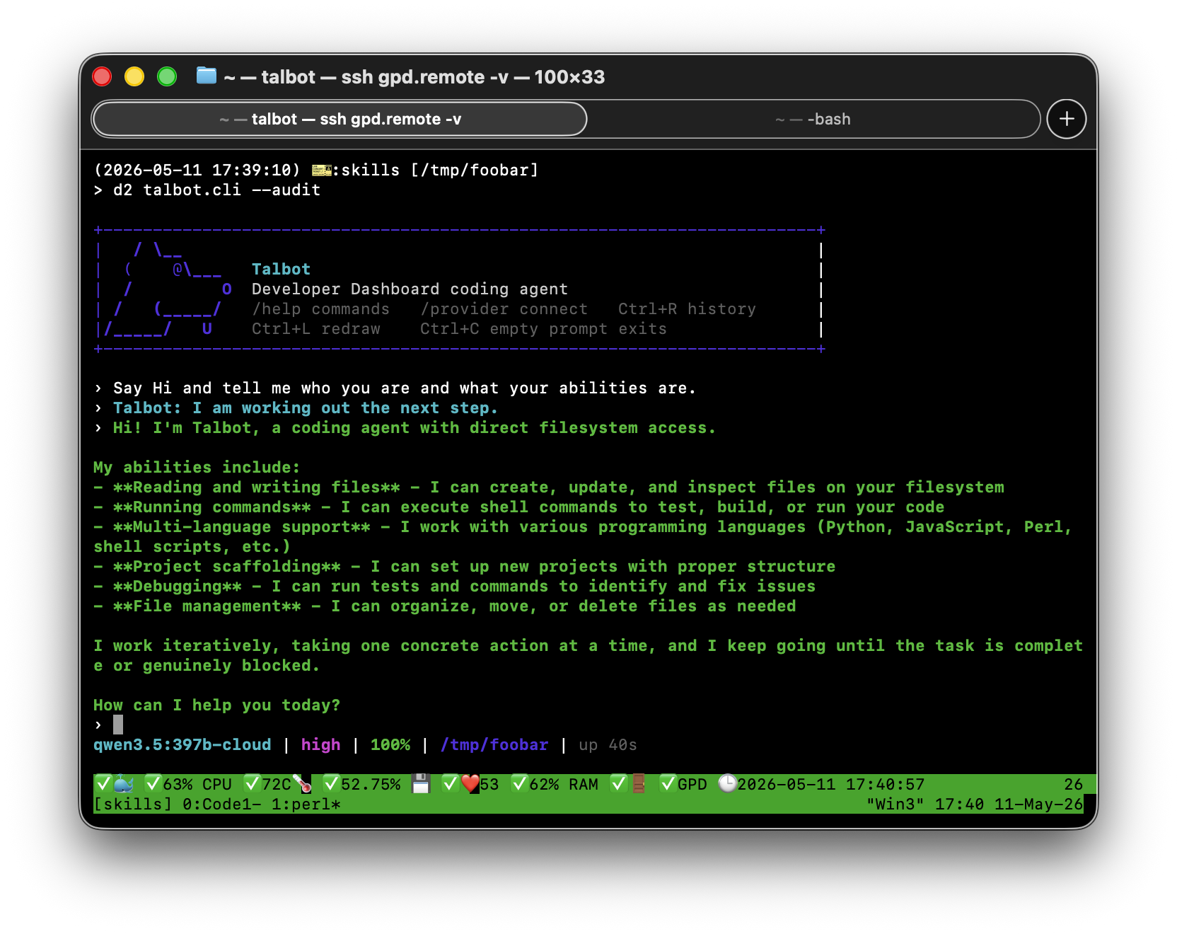 Screenshot of Talbot running in audit mode inside a terminal workspace